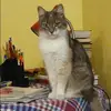 Отзыв от Галина Жданова